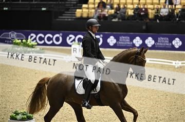 182194_kbb_01_Z097024.JPG