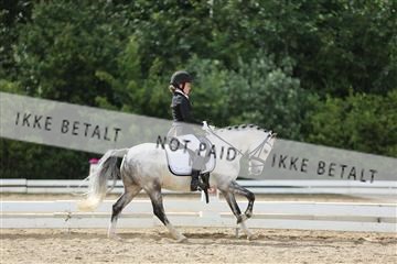 156196_nn_01_IMG_6497.JPG