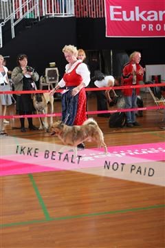 6068_ma_05_IMG_6034.JPG