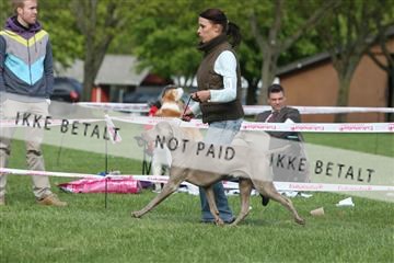 134871_ms_04_IMG_1674.JPG