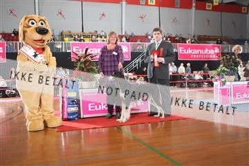 6068_ma_05_IMG_5630.JPG