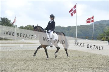 169624_kbb_01__KBB8425.JPG