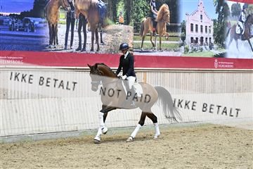 182241_kbb_01_Z095260.JPG