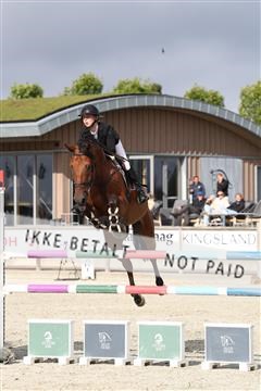 181922_avh_01_1054.JPG