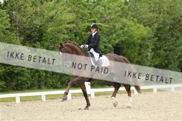 139835_sg_01_IMG_7790.JPG
