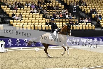 182194_kbb_03_Z090272.JPG