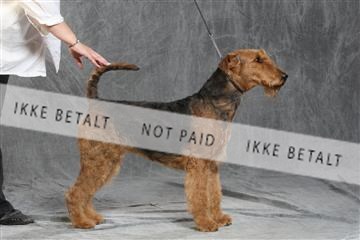 130054_le_ 03_0193.JPG