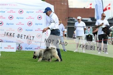181564_rin_01_R62_7817.JPG