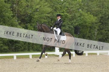 139835_sg_02_IMG_8654.JPG