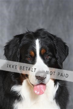 130054_le_ 03_0380.JPG