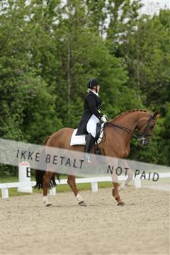 139835_sg_01_IMG_8045.JPG