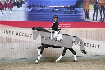 181887_mtp_01_R62_6962.JPG