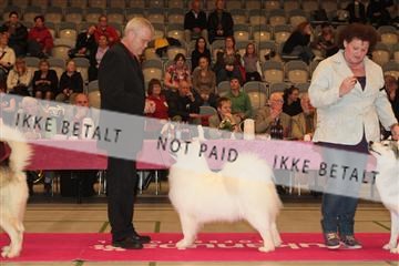 124188 _tl_02_IMG_9234.JPG