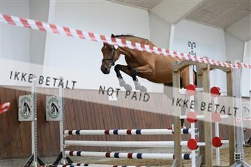 181755_tbj_01R62_2217.JPG