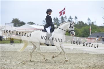 169624_kbb_01__KBB8120.JPG