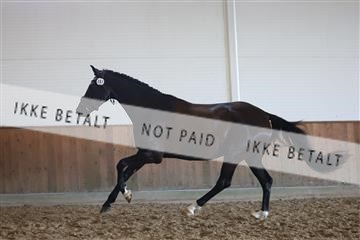 181756_mtp_02_R62_1941.JPG