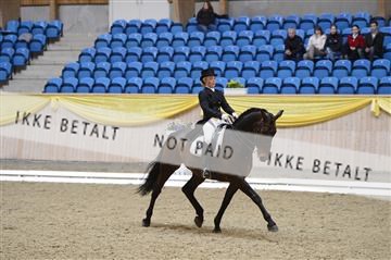 139403_ms_01__MS18464.JPG