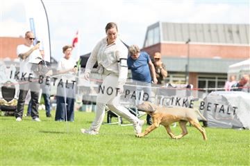 181564_rin_01_R62_7675.JPG