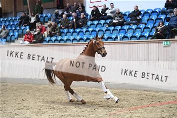 164516_kuo_01_D05_2234.JPG