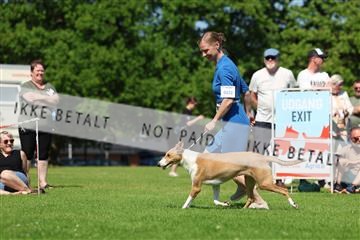 181564_rin_02_R62_4058.JPG