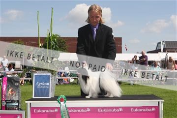 130370_se_03_IMG_7441.JPG