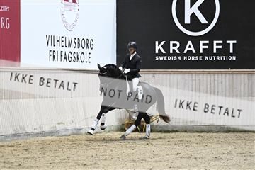 182241_kbb_01_Z094148.JPG