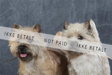 130054_le_ 03_0069.JPG