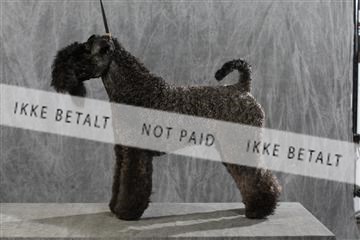 128239_le_kort_ 01_0328.JPG