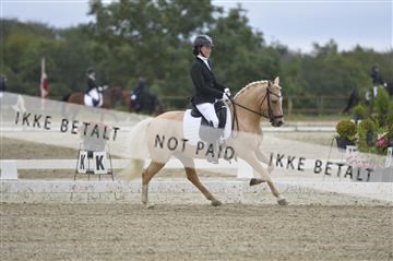 169624_kbb_01__KBB7851.JPG