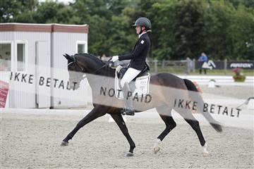 166078_rhj_01__J7R4631.JPG
