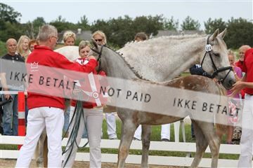 125406_sc_02_IMG_0558.jpg