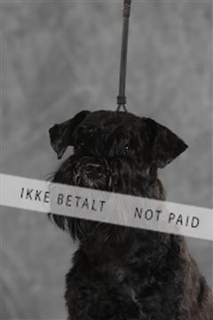 130054_le_ 03_0261.JPG