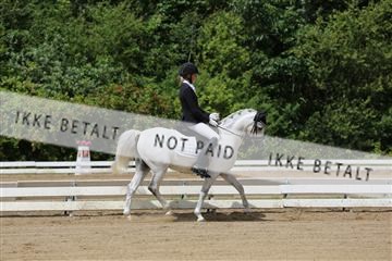156196_nn_01_IMG_5842.JPG