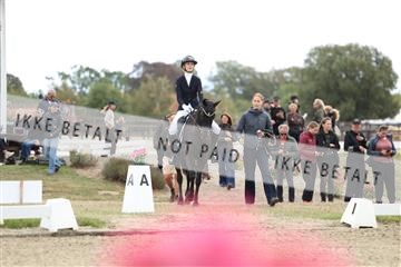 181894_mtp_02_R62_1384.JPG