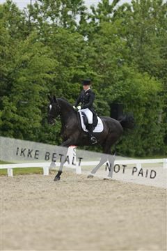139835_sg_03_IMG_9144.JPG
