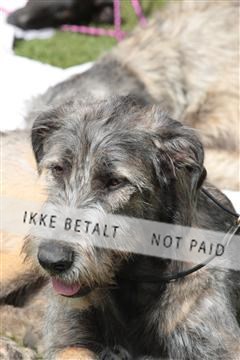 124188 _tl_02_IMG_9500.JPG