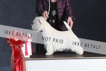 132082_le_ 01_IMG_1391.JPG