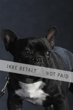 132082_le_ 01_IMG_1525.JPG