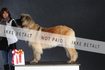 132082_le_ 01_IMG_1333.JPG