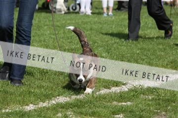 134871_ms_02_IMG_3605.JPG