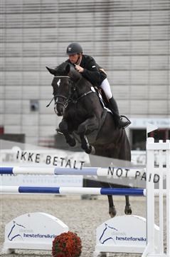 152762_nn _05_IMG_7495.JPG