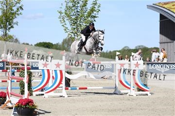 181436_avh_03_4794.JPG