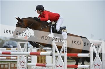 139644_abo_07__AB15822.JPG