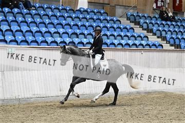 182241_kbb_01_Z093547.JPG