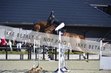 139644_abo_02__AB14420.JPG