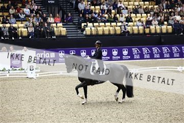 182194_avh_05_2783.JPG