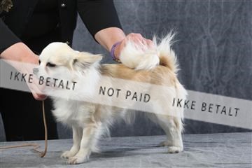 129608_le_ 01_0574.JPG