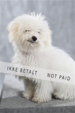 128239_le_kort_ 01_0353.JPG