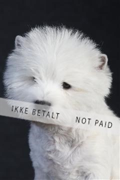 132082_le_ 01_IMG_0410.JPG