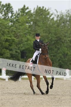 139835_sg_02_IMG_8750.JPG